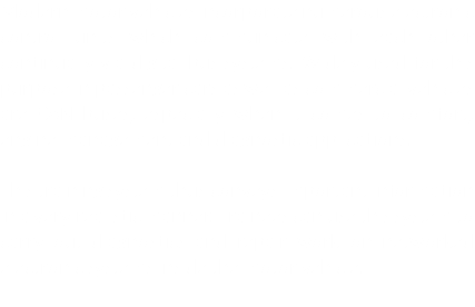 Modern motor vehicles incorporate numerous electronic control units which communicate with each other continually via digital bus systems. Widely used for this purpose in passenger cars as well as commercial vehicles are CAN buses, especially when it comes to comfort, engine management and diagnostic applications. This training system thus conveys important information in a very realistic manner. Trainees can use this system to carry out diagnostics and repair work on networked electronic systems inside the motor vehicle.
